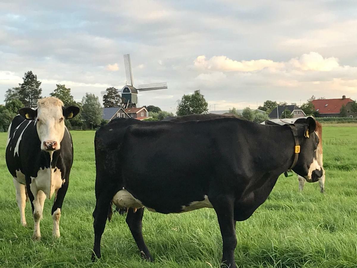 Villa De Ouwe Meulen Bleskensgraaf Esterno foto