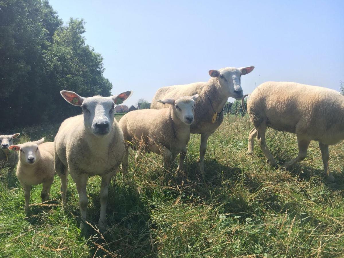 Villa De Ouwe Meulen Bleskensgraaf Esterno foto